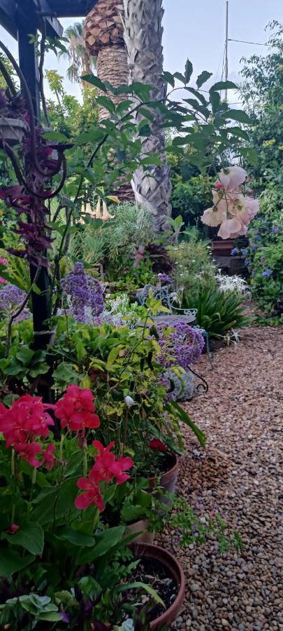 Casa Flora Garden Studio El El Sauzal Extérieur photo