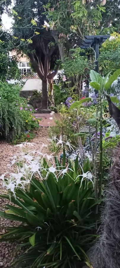 Casa Flora Garden Studio El El Sauzal Extérieur photo
