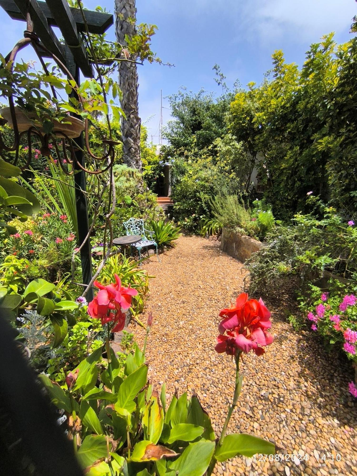 Casa Flora Garden Studio El El Sauzal Extérieur photo