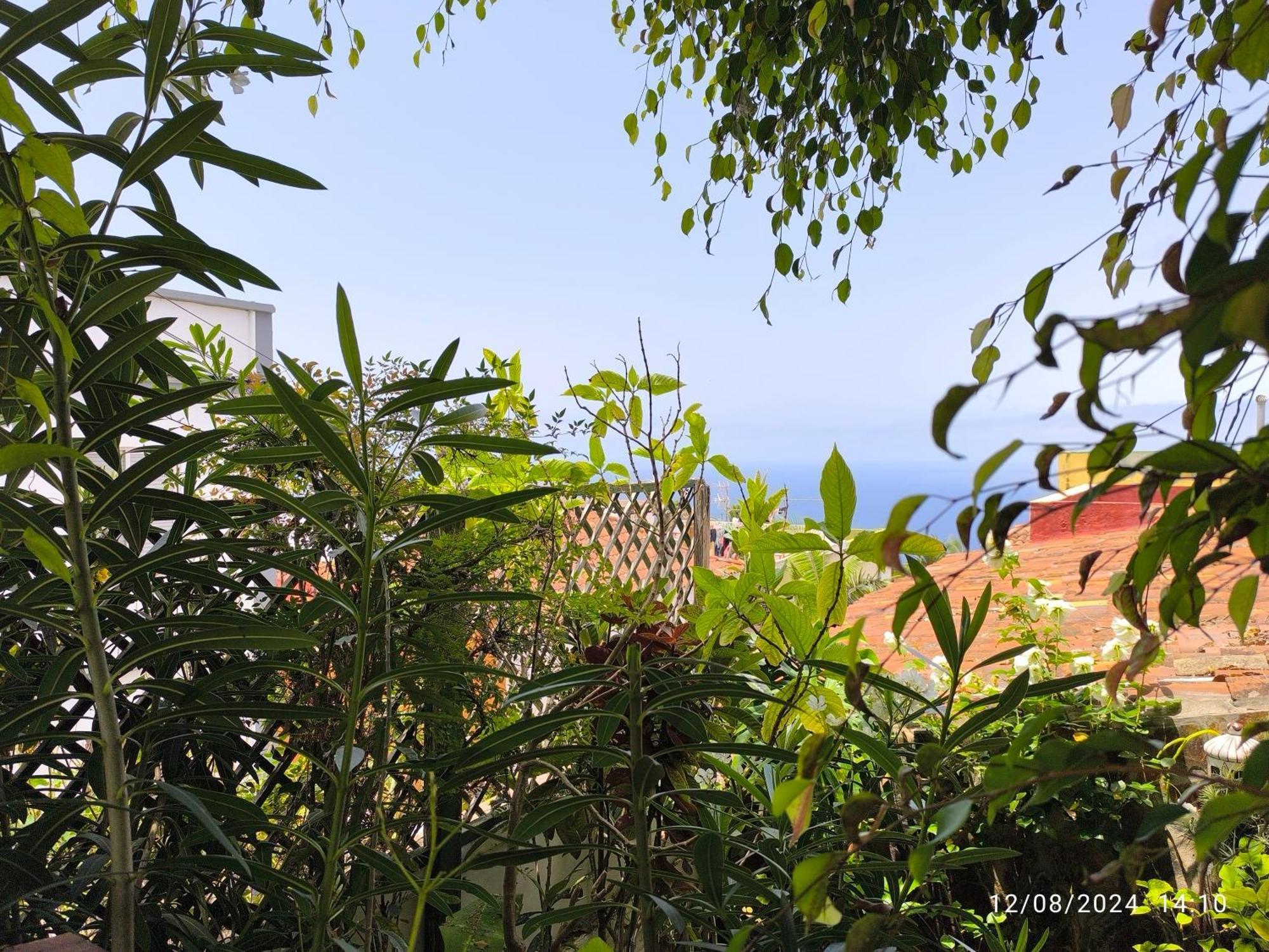 Casa Flora Garden Studio El El Sauzal Extérieur photo